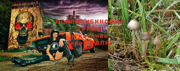 героин Новозыбков